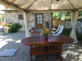 Agriturismo Podere la Cava Mercatale